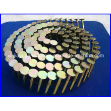 Galvanized Coil Roofing Nails with High Quality